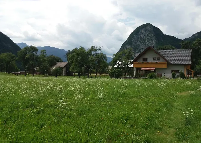 Apartament Apartmaji Bremec *